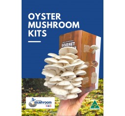 BULK RETAIL GROWER PACK Mushroom Kits x 9 Kits IN GIFT BOXES upto 3 types  - FREE Shipping to 90% of Australia - No Po Boxes